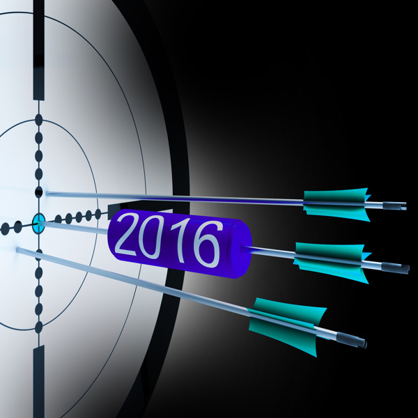 2016个目标显示成功的未来增长