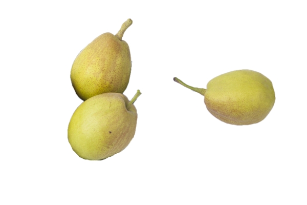 三个新鲜营养的香梨