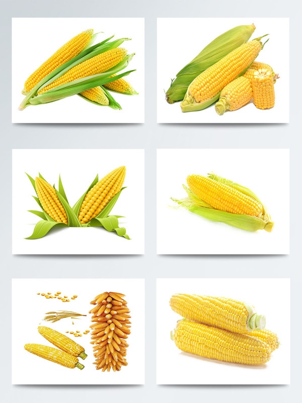 蔬菜玉米实物集合图案